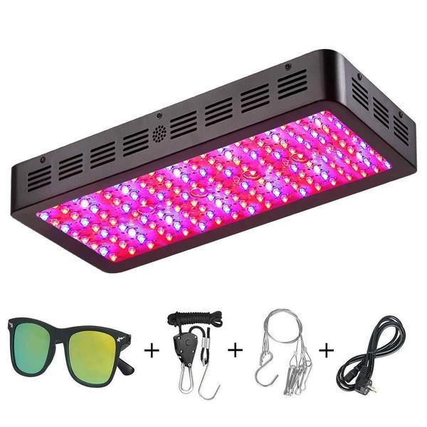 growlights420-article-1596534145629.jpg